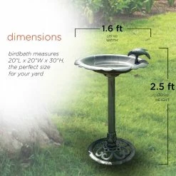 New 🔔 Alpine Green Birdbath With Bird Decoration 31 In. 🔔 -Patio Shop unnamed file 1141