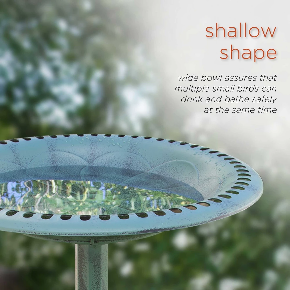 Cheapest ๐ Alpine Green Birdbath ๐งจ 5 Cheapest ๐ Alpine Green Birdbath ๐งจ - Image 3