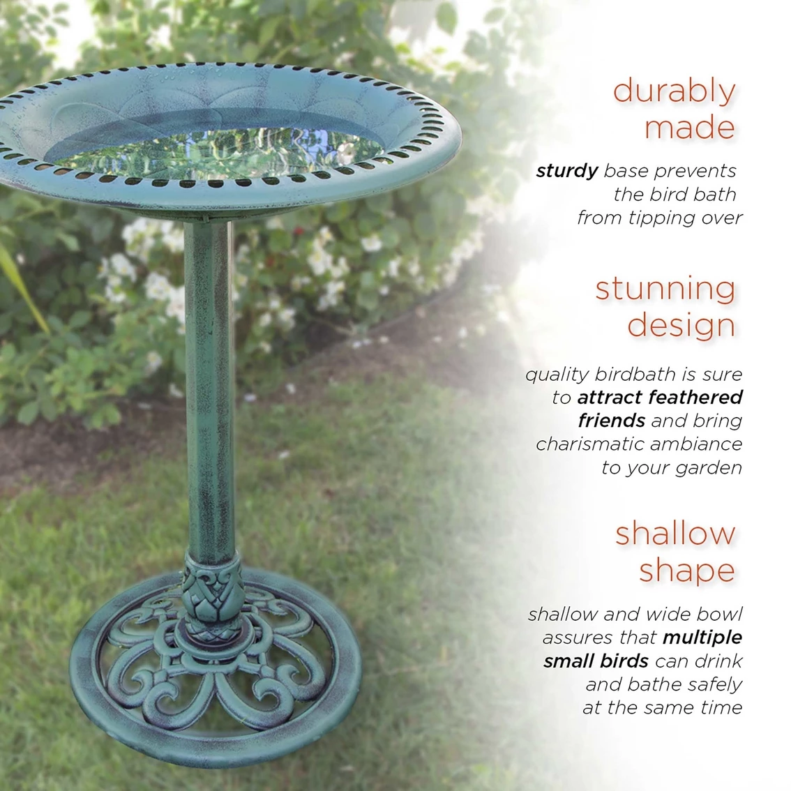 Cheapest ๐ Alpine Green Birdbath ๐งจ 8 Cheapest ๐ Alpine Green Birdbath ๐งจ - Image 6
