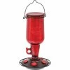 Flash Sale ๐ Penn Jug Hummingbird Feeder ๐ 2 Flash Sale ๐ Penn Jug Hummingbird Feeder ๐ -Patio Shop unnamed file 1187