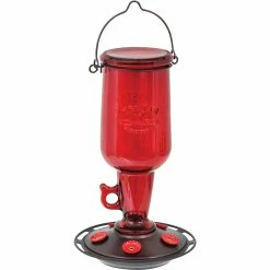 Flash Sale 🔔 Penn Jug Hummingbird Feeder 🎉