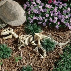Budget 😉 Design Toscano Raptor Skeleton Garden Sculpture ✔️ -Patio Shop unnamed file 121