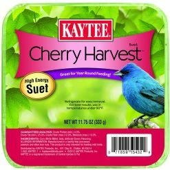 Cheap 🧨 Penn Kaytee Cherry Harvest Suet And Suet Dough Bird Food, 11.75 Oz. 👏