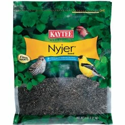 Hot Sale 💯 Penn Kaytee Nyjer Bird Food, 5 Lb. 🥰
