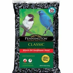 Flash Sale 😉 Pennington Black Oil Sunflower Seed ✔️