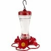 Coupon 🔔 Penn Classic Brands Stokes Impatience Hummingbird Feeder ✔️ -Patio Shop unnamed file 1225