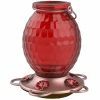 Deals ✔️ Penn Classic Brands More Birds Hummingbird Feeder ✔️ -Patio Shop unnamed file 1227
