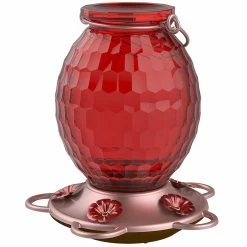 Deals ✔️ Penn Classic Brands More Birds Hummingbird Feeder ✔️