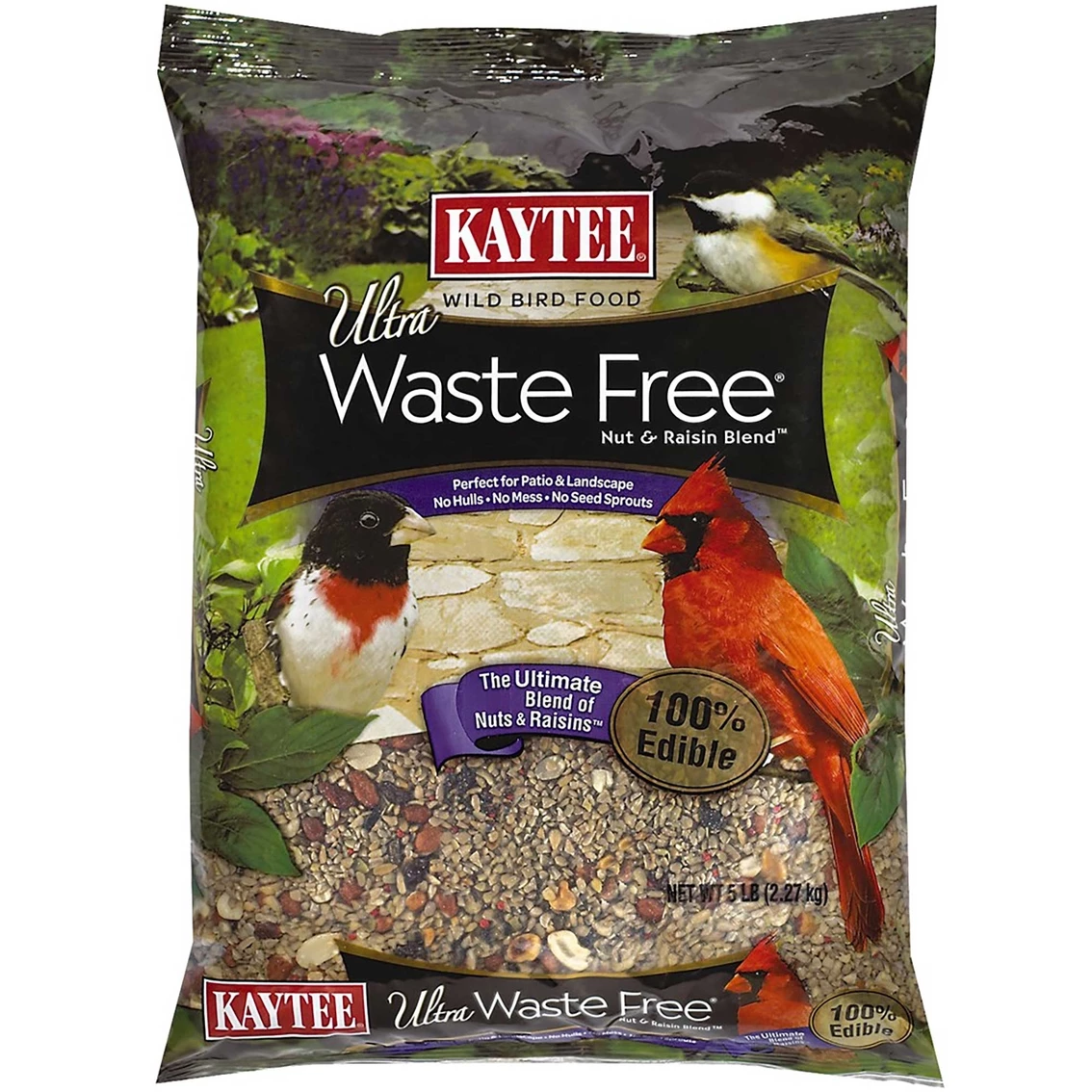 Promo ⌛ Penn KT WFree Nut And Raisin 5 Lb. 🎉 3 Promo ⌛ Penn KT WFree Nut And Raisin 5 Lb. 🎉