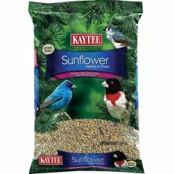 Best Pirce 🔥 Penn Kaytee Sunflower Hart Chip Bird Food 3 Lb. ⭐