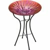 Buy 🧨 Regal Arts 18 In. Birdbath With Stand, Wave 💯 -Patio Shop unnamed file 1266