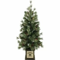 Budget 👏 Everstar 4 Ft. Pre-Lit Porch Tree With Fiber Glass Pot ✔️