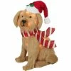 Deals 😉 Everstar 24 In. Plush Goldenpoodle 🎁 -Patio Shop unnamed file 1423