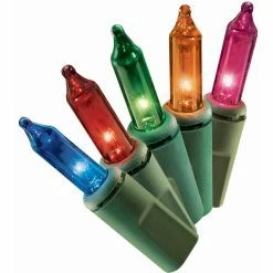 New ๐ Everstar 50 Ct. Indoor Lights โค๏ธ