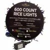 Brand new ⌛ Kurt S. Adler 600 LED Rice Lights 🤩