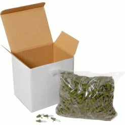 Coupon โค๏ธ National Tree Company Replacement Bulbs 1000 Pk. ๐ฏ