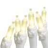 Promo ✨ Everstar Incandescent Style LED Mini Light Set 100 Lights 🎁 -Patio Shop unnamed file 1473