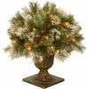 Buy 🧨 National Tree Company 24 In. Wintry Pine Porch Bush With Clear Lights ⭐