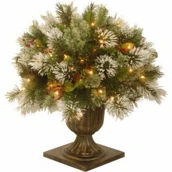 Buy 🧨 National Tree Company 24 In. Wintry Pine Porch Bush With Clear Lights ⭐