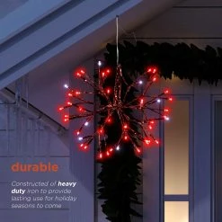 Wholesale 😉 Alpine 🎅 Christmas Red Twig Ornament Light 🛒 15 Wholesale 😉 Alpine 🎅 Christmas Red Twig Ornament Light 🛒 -Patio Shop unnamed file 1543