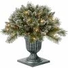 Wholesale 🧨 National Tree Company 18 In. Glittery Bristle Pine Porch Bush 🧨 -Patio Shop unnamed file 1552