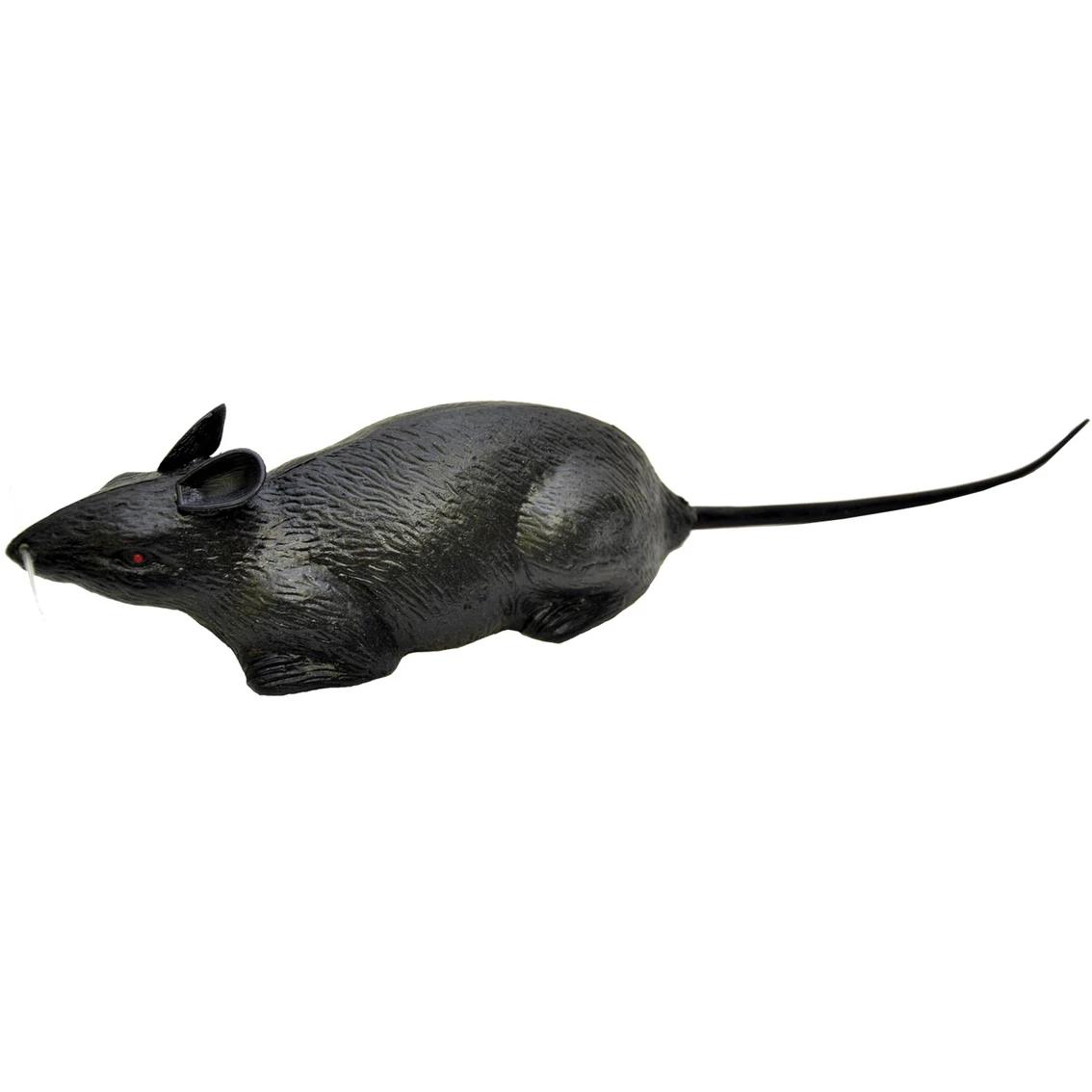 Coupon ๐ฏ Forum Novelties Rat Decoration ๐งจ 3 Coupon ๐ฏ Forum Novelties Rat Decoration ๐งจ