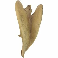 Top 10 ๐ Design Toscano Legend Of The Cambridge Hopping Gargoyle Sculpture ๐ 13 Top 10 ๐ Design Toscano Legend Of The Cambridge Hopping Gargoyle Sculpture ๐ -Patio Shop unnamed file 337