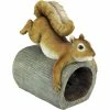 Flash Sale 🌟 Design Toscano Crash The Squirrel Gutter Guardian Downspout Statue ❤️ -Patio Shop unnamed file 411